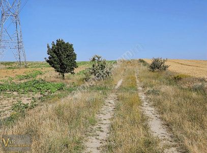 Arsa-Tarla