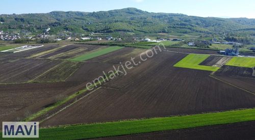 Arsa-Tarla