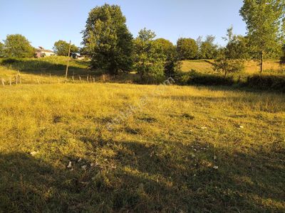 Arsa-Tarla