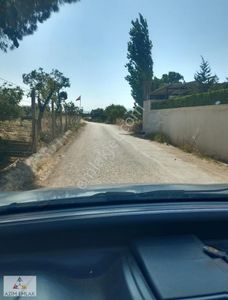 Arsa-Tarla