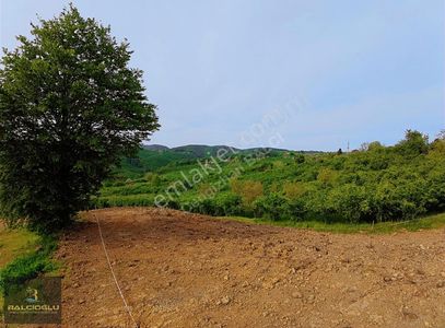 Arsa-Konut İmarlı