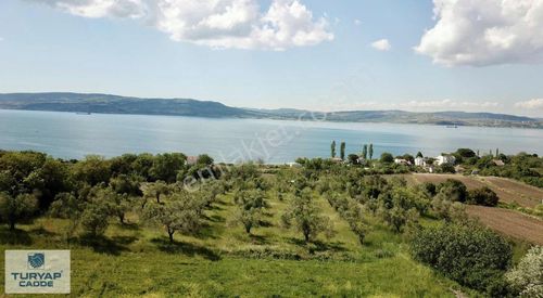 Arsa-Villa İmarlı