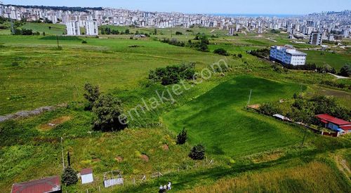 Arsa-Konut İmarlı