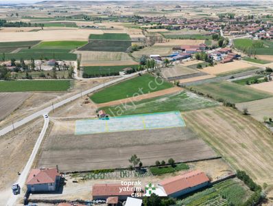 Arsa-Tarla