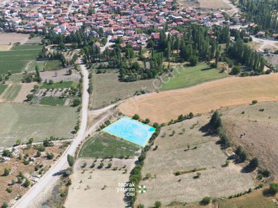 Arsa-Tarla