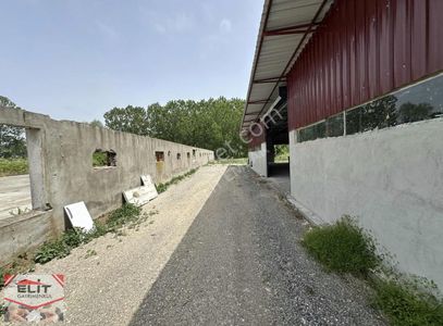 Arsa-Özel Kullanım