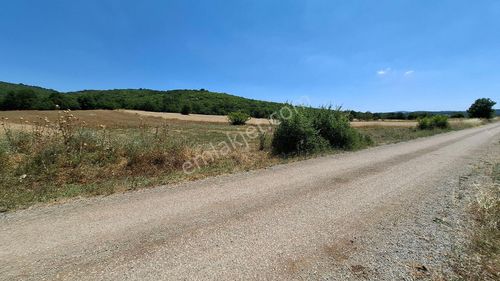 Arsa-Tarla