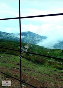 Arsa-Bağ & Bahçe