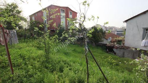 Arsa-Konut İmarlı
