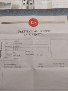 Arsa-Konut İmarlı