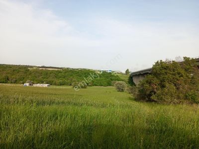 Arsa-Tarla