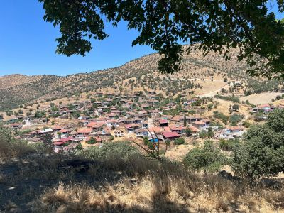 Arsa-Arazi