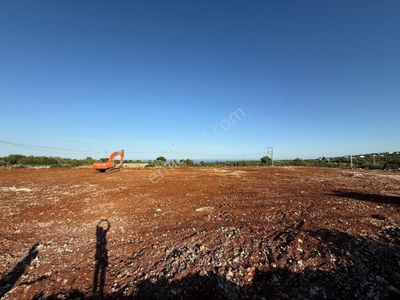Arsa-Villa İmarlı