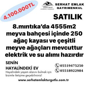 Arsa-Bağ & Bahçe