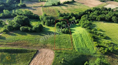 Arsa-Tarla