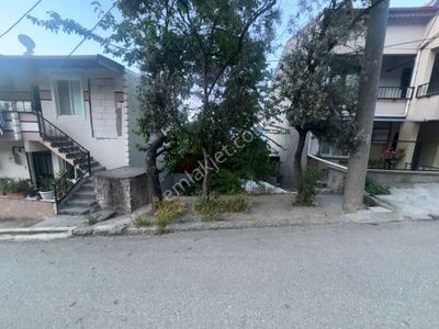 Arsa-Konut İmarlı