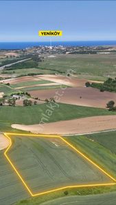 Arsa-Tarla
