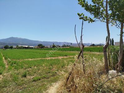 Arsa-Sanayi İmarlı