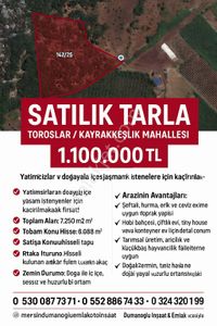 Arsa-Tarla