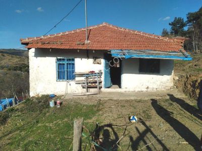 Konut-Köy Evi
