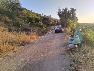 Arsa-Tarla