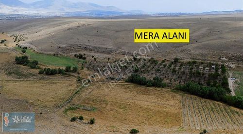 Arsa-Bağ & Bahçe