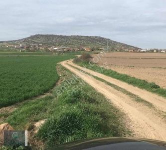 Arsa-Tarla