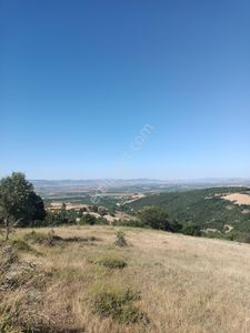 Arsa-Tarla