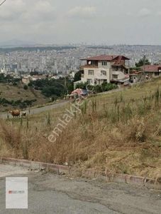 Arsa-Konut İmarlı