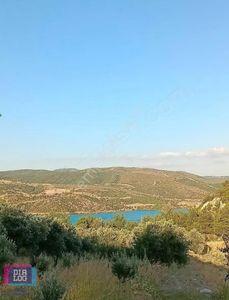 Arsa-Tarla