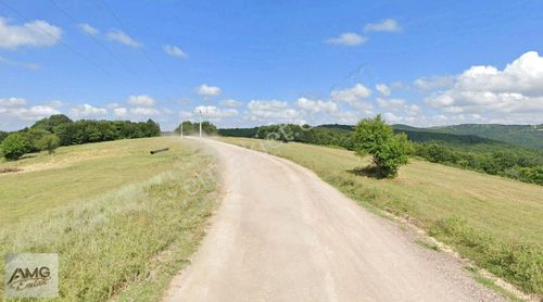Arsa-Tarla