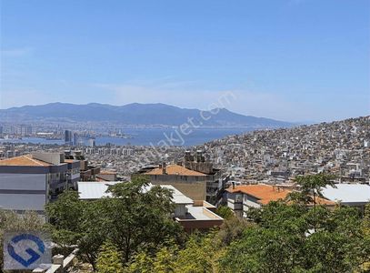 Arsa-Konut İmarlı