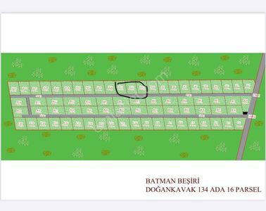 Arsa-Bağ & Bahçe