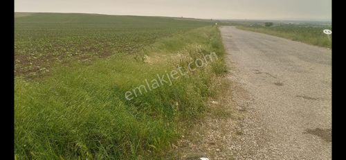 Arsa-Tarla
