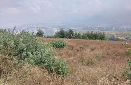 Arsa-Konut İmarlı