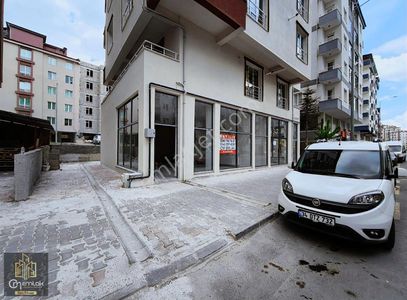 İşyeri-Dükkan & Mağaza