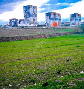 Arsa-Konut İmarlı