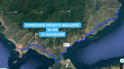 Arsa-Zeytinlik