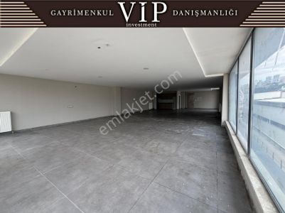 İşyeri-Dükkan & Mağaza