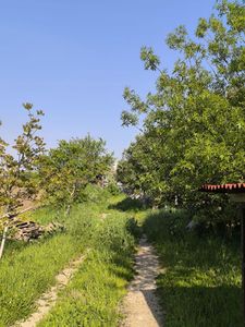 Arsa-Konut İmarlı