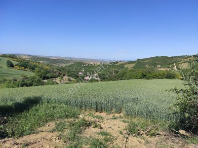 Arsa-Tarla