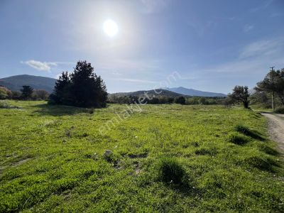 Arsa-Tarla