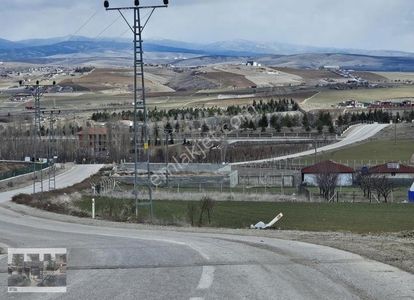 Arsa-Tarla