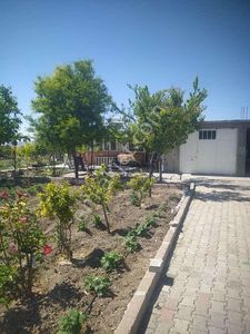 Arsa-Bağ & Bahçe