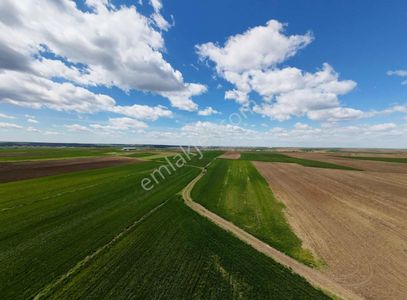 Arsa-Tarla