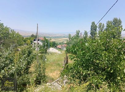 Arsa-Tarla