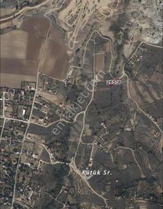 Arsa-Bağ & Bahçe