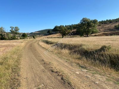 Arsa-Tarla