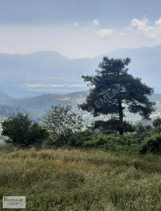 Arsa-Tarla