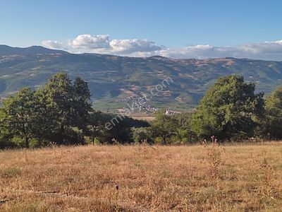 Arsa-Tarla